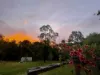 62 Old Mill Road, Carters Ridge, Qld 4563-Image