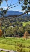 62  Old Warburton Highway, Seville East, Vic 3139-Image