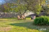 62 Olympic Parade, Dromana, Vic 3936-Image