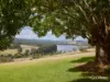 62 Palmer Road, Jindivick, Vic 3818-Image
