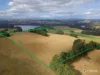 62 Palmer Road, Jindivick, Vic 3818-Image