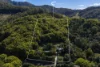 62 Pimble Valley Road, Crabbes Creek, NSW 2483-Image