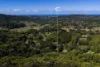 62 Pimble Valley Road, Crabbes Creek, NSW 2483-Image