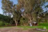 62 Swan View Road, Swan View, WA 6056-Image