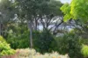 62 Victoria Parade, Augusta WA 6290-Image