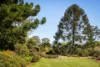 62 Virtue Road, Bexhill, NSW 2480-Image