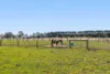 62 Wiggins Road, Mitchell Park, Vic 3355-Image