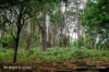 62 Williams Road, Randalls Bay, Tas 7112-Image