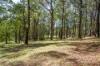620 Thonemans Road, Hoddles Creek, Vic 3139-Image