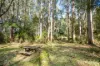 620 Thonemans Road, Hoddles Creek, Vic 3139-Image