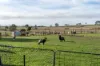 621 Tunnack Road, Parattah, Tas 7120-Image