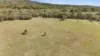 6223 Snowy Mountains Highway, Adaminaby NSW 2629-Image