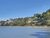 623 Shark Point Road, Penna, Tas 7171-Image