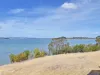 623 Shark Point Road, Penna, Tas 7171-Image