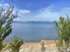 623 Shark Point Road, Penna, Tas 7171-Image