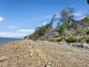 623 Shark Point Road, Penna, Tas 7171-Image
