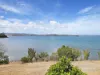 623 Shark Point Road, Penna, Tas 7171-Image