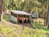 624 Gilston Road, Gilston, Qld 4211-Image