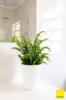625 Macs Reef Road, Bywong NSW 2621-Image