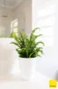 625 Macs Reef Road, Bywong, NSW 2621-Image