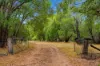 627 Hill Brook Road, CROWEA WA 6262-Image