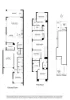 62B Gordon Street, Newport, Vic 3015-Floorplan