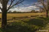 63 Batchelor Street, Torrens, ACT 2607-Image