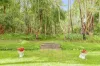 63 Boronia Drive, Poona, Qld 4650-Image