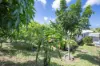 63 Caroval Drive, Rural View, Qld 4740-Image