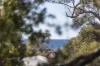 63 Carroll Avenue, Mollymook Beach, NSW 2539-Image