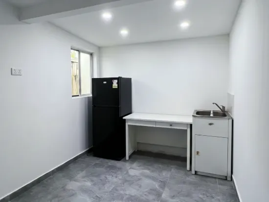 63 Courallie Ave, Homebush West, NSW 2140-Image