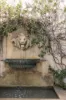 63 Cremorne Road, Cremorne Point, NSW 2090-Image