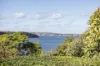 63 Cremorne Road, Cremorne Point, NSW 2090-Image