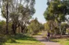 63 Fred Daly Avenue, Coombs, ACT 2611-Image