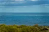 63 Ilma Rise, Wandina, WA 6530-Image