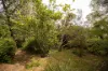 63 Lawson View Parade, Wentworth Falls, NSW 2782-Image