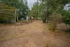 63 Market Street, Jandowae, Qld 4410-Image