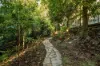 63 McCaul Street, Taringa, Qld 4068-Image