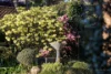 63 Middle Road, Exeter, NSW 2579-Image