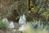 63 Middle Road, Exeter, NSW 2579-Image