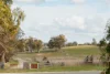 63 Ormiston Circuit, Harrison, ACT 2914-Image