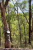63 Skyline Road, Bend Of Islands, Vic 3097-Image