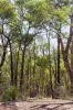 63 Skyline Road, Bend Of Islands, Vic 3097-Image