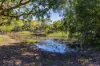 631 Cape Hillsborough Road, Cape Hillsborough, Qld 4740-Image