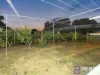 632 Doghill Road, Baldivis, WA 6171-Image