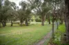 635 Brown Road, Officer, Vic 3809-Image