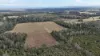 638 collombatti Road, Collombatti, NSW 2440-Image