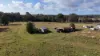 638 collombatti Road, Collombatti, NSW 2440-Image