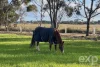 64-70 Brittain Road, New Town, SA 5554-Image