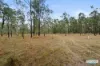 64-92 Tea Tree Ave, Mount Forbes, Qld 4340-Image